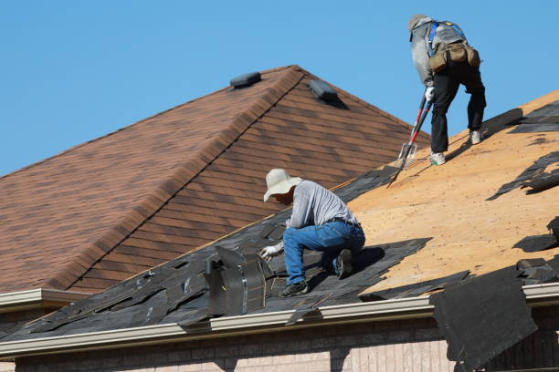 Best Solar Panel Roofing Installation  in Glendale, MS