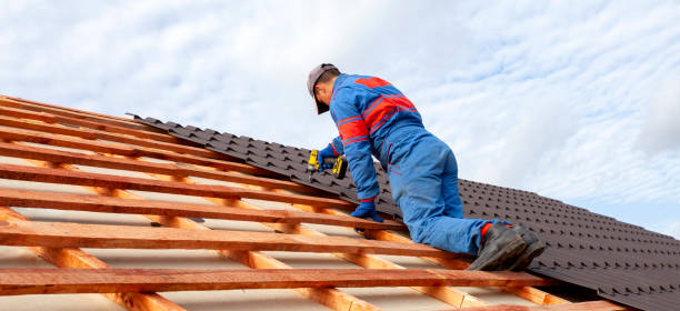 Best Sheet Metal Roofing  in Glendale, MS